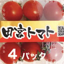 5f2ed457d7e1d86f13291cf3