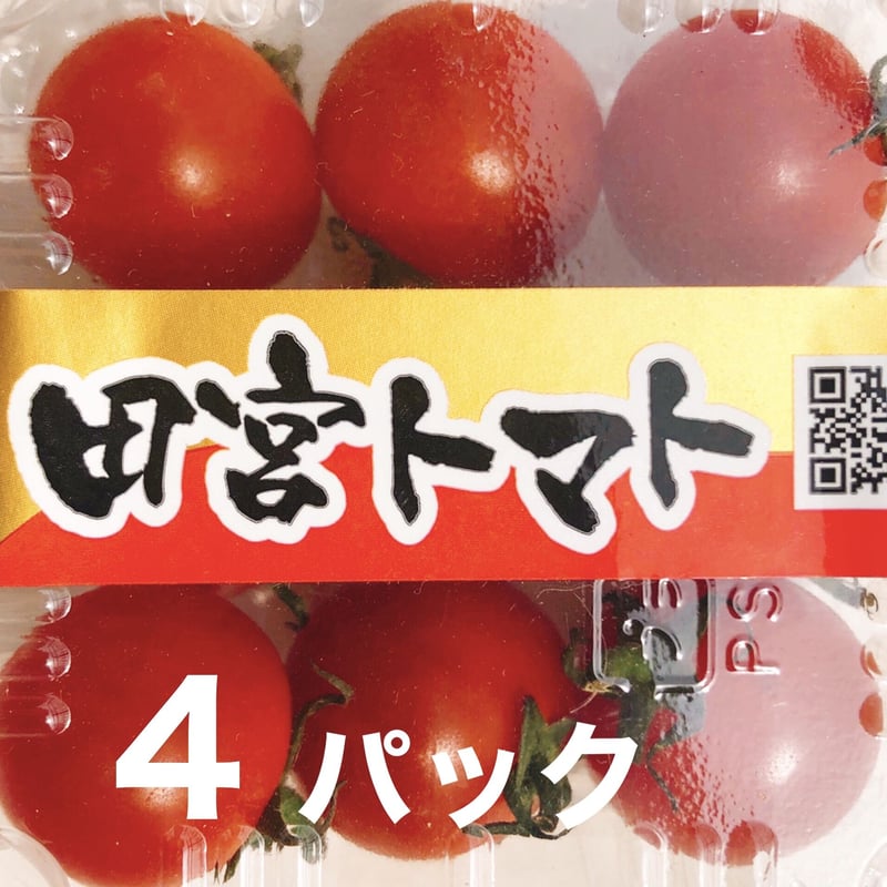 八ヶ岳産ミニトマト４パック（初めての方にオススメ！こくがあって味 ...