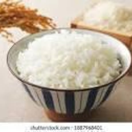 （定期便10kg）お米🌾 （無洗米）奇跡の完全無農薬「ありがとまい」おいしさも特A  一生に一度は食べてみたい！ 除草剤、殺虫剤、化学肥料も不使用