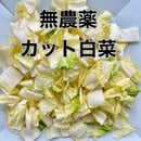 65e11d3bcd7f160032e26a35