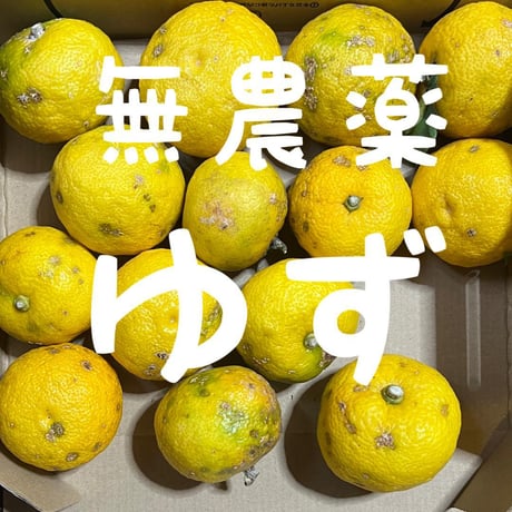 商品一覧 | ありがとまと農園