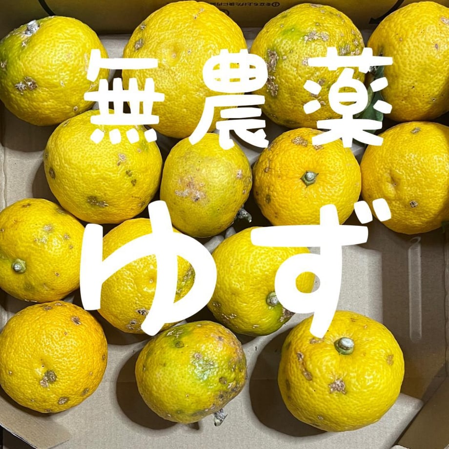 654ebabd6a8b0d1778c27cf9