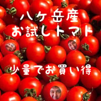 お試し少量ありがとまと！　味濃いめ！農薬/肥料は薄め！ お子様も大好き！八ヶ岳産 初めての方にオススメ！