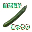 64a4c96ba1a486002d2b6893