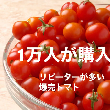 行列ありがとまと！ 1万人以上の方が購入！味濃いめ！農薬は薄め！ リピ率もNO.1    お子様も大好き！八ヶ岳産ミニトマト