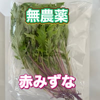 無農薬　赤水菜　サラダ、離乳食、スムージーにも　長野県産
