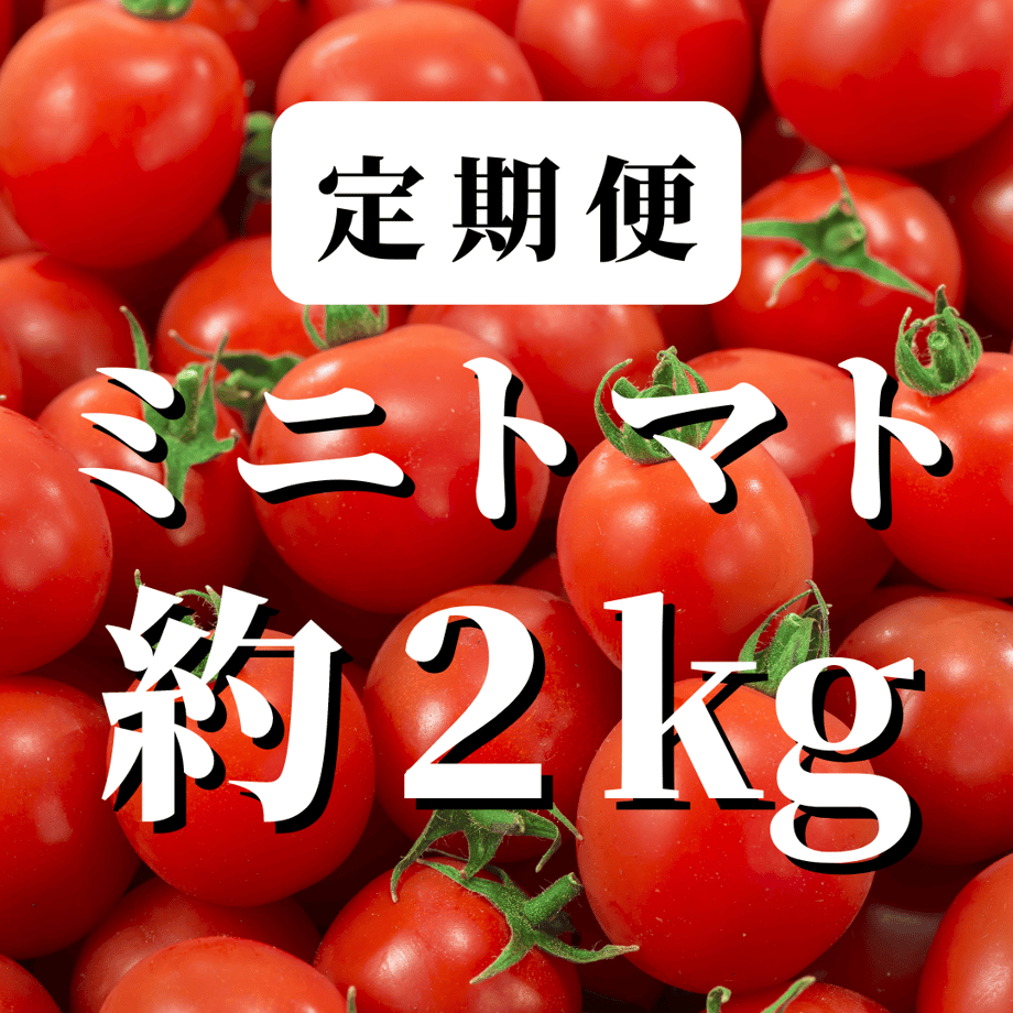 62608b0c08e5e2518492bfe6