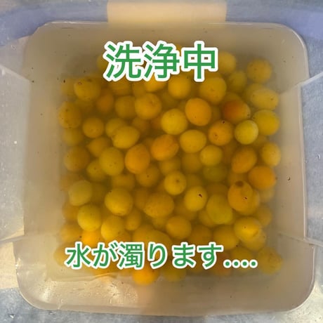 超完熟　破レ生梅　200g 無添加　熟成45日以上で、味も香りもしっかり！