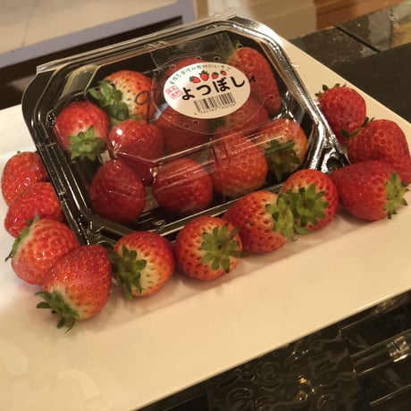 🍓4つ星級⭐️⭐️⭐️⭐️ 一生に一度は、食べてほしい八ヶ岳産の減農薬の高級イチゴです。