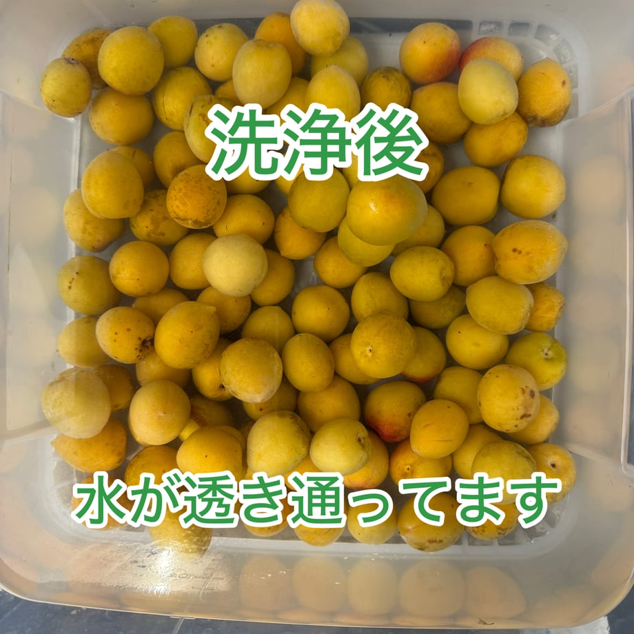 6483d9805348c50030f7c663