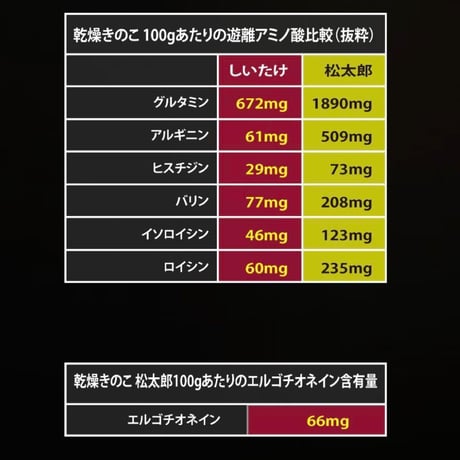 無農薬　極上！松たけ椎茸ジャーキー 旨味と栄養が超リッチ！ おまけスナック付き！
