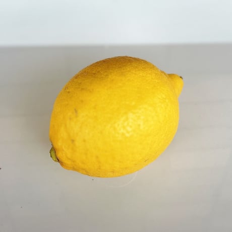 （残りわずか）　無農薬レモン 洗浄でホコリ、カビ、雑菌を除去済み　もちろん国産　皮つき調理でも安心！長持ち　今年はそろそろ終了します
