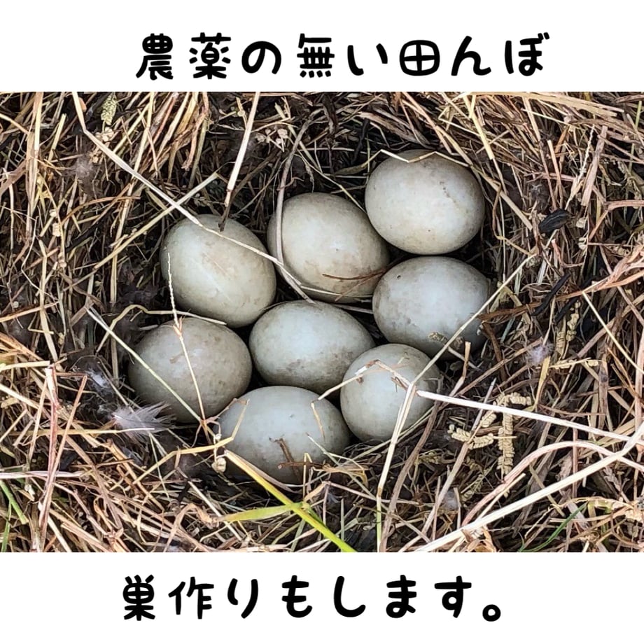 654a9fc712d039090cb0e035