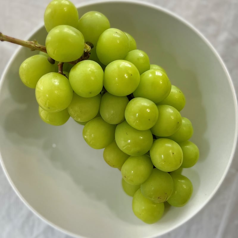 冷凍) 長野県産 シャインマスカット ズッシリ1房 約500g | ありがとま ...