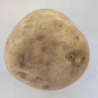 無農薬  じゃがいも