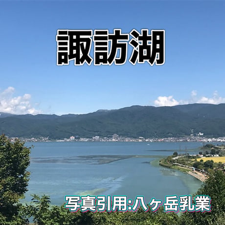 行列ありがとまと！ 1万人以上の方が購入！味濃いめ！農薬は薄め！ リピ率もNO.1    お子様も大好き！八ヶ岳産ミニトマト