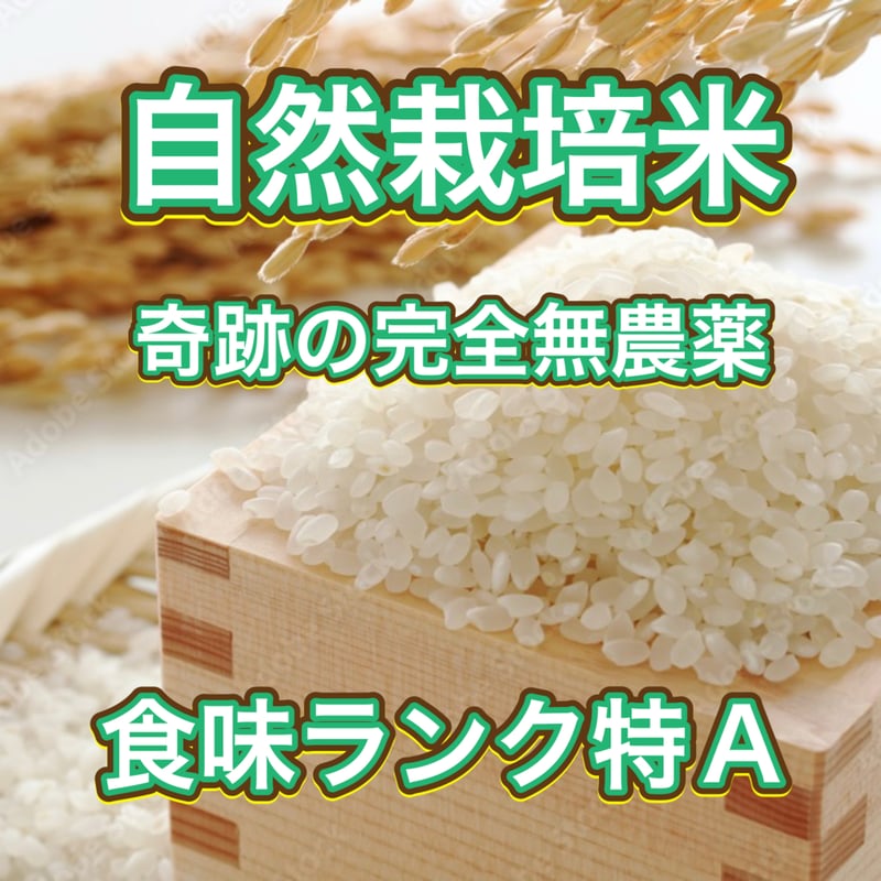 お米🌾 奇跡の完全無農薬「ありがとまい」おいしさも特A 一生に一度は