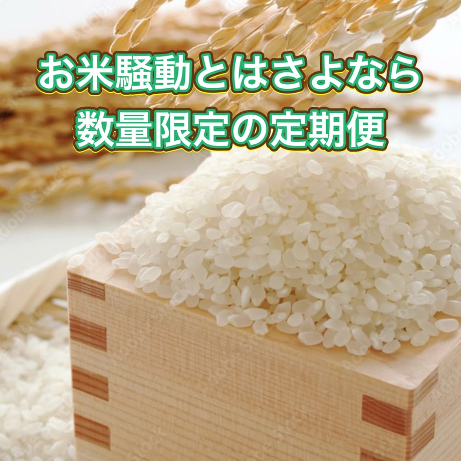 6771f658fc29e81a249c6ca9