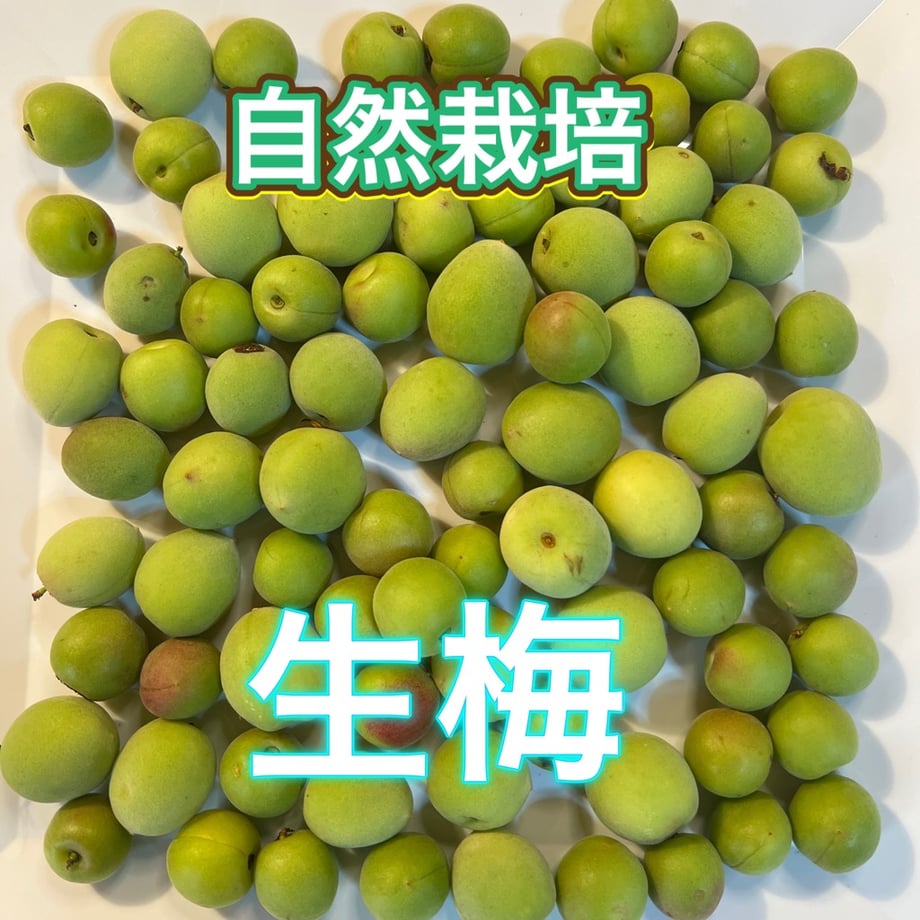 6483d9805348c50030f7c663