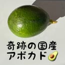 65790b9e7dd1ee0035bca57c