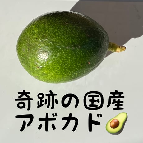 奇跡の国産アボカド、ワックス除去済みアボカド等