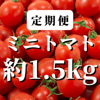 【定期便】八ヶ岳産　ありがとまと  約1.5kg 味濃いめ、農薬は薄め お子様も大好き！