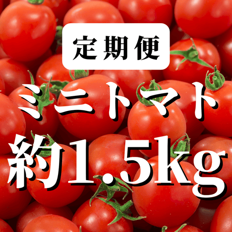 【定期便】八ヶ岳産　ありがとまと  約1.5kg 味濃いめ、農薬は薄め お子様も大好き！
