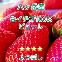 八ヶ岳産 飲む高級いちごピューレ50g  果汁＆果肉100%　無添加　使い切り