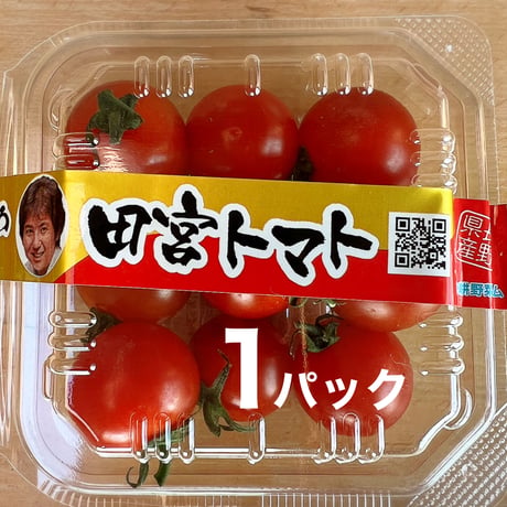 プチトマト | STORES