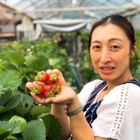 八ヶ岳産 飲む高級いちごピューレ50g  果汁＆果肉100%　無添加　使い切り