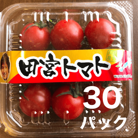八ヶ岳(長野県) 産　ミニトマト 30パック入り1箱   甘くて味が濃い