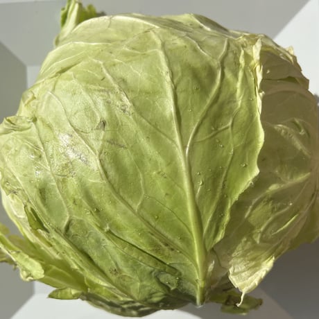 無農薬キャベツ  カット済み　甘みがありますよ！