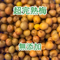 自然栽培　超完熟ありがと梅　 無添加　浅漬けで梅干し完成超完熟  自然栽培　タイパ、コスパの良い生梅 　カビにくく梅干し作りが簡単！浅漬けOK最短3日で食べられる！