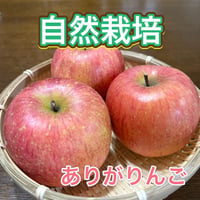 自然栽培　サンふじ　ありがりんご