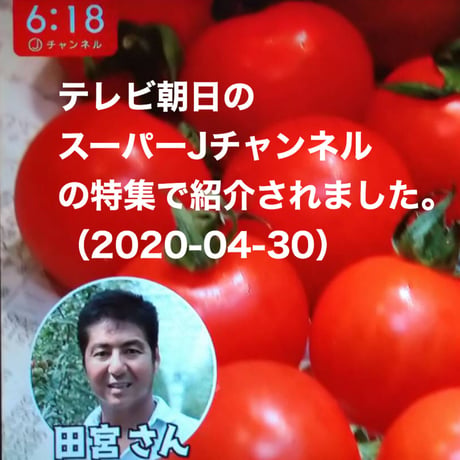 行列ありがとまと！ 1万人以上の方が購入！味濃いめ！農薬は薄め！ リピ率もNO.1    お子様も大好き！八ヶ岳産ミニトマト