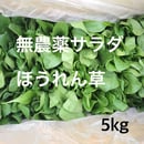 64b2768212e4fd37c502d7be