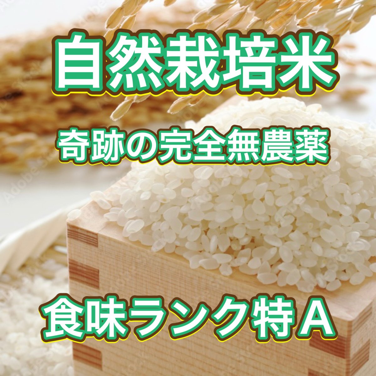 お米🌾 （少量）奇跡の完全無農薬「ありがとまい」おいしさも特A 一生