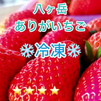 （❄️冷凍❄️）八ヶ岳 完熟高級いちご 15kg　味濃いめ 　へたカット済