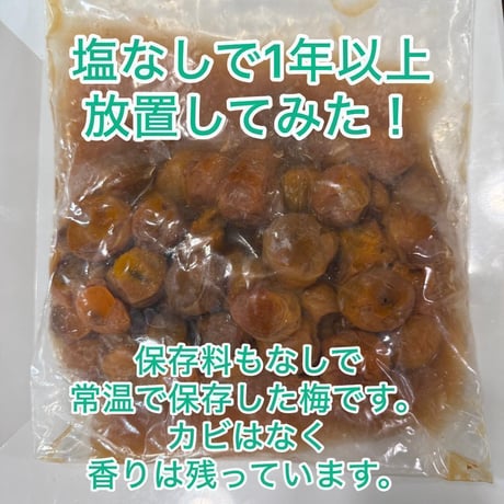 完熟ありが梅　早っ！梅干が最短3日で完成！　しかも下処理不要！　殺菌洗浄済でカビにくい　自然栽培