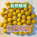 6483d9805348c50030f7c663