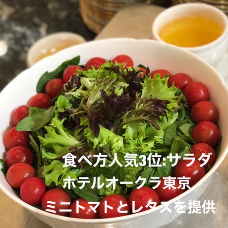 【定期便】八ヶ岳産　ありがとまと  約1.5kg 味濃いめ、農薬は薄め お子様も大好き！