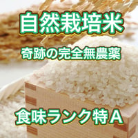 （定期便10kg）お米🌾 （無洗米）奇跡の完全無農薬「ありがとまい」おいしさも特A  一生に一度は食べてみたい！ 除草剤、殺虫剤、化学肥料も不使用