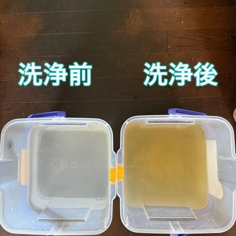 無農薬　カット白菜　350g　長持ち 白菜1/4カット分位