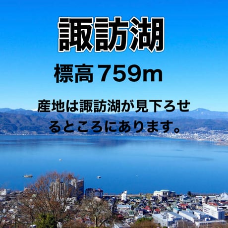 🍓4つ星級⭐️⭐️⭐️⭐️ 一生に一度は、食べてほしい八ヶ岳産の減農薬の高級イチゴです。