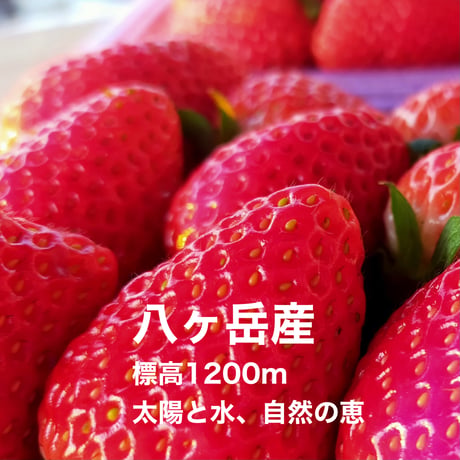（早割予約）濃縮 飲める🍅生トマトっ酢と🍓生イチゴっ酢のセット　各200ml　無添加