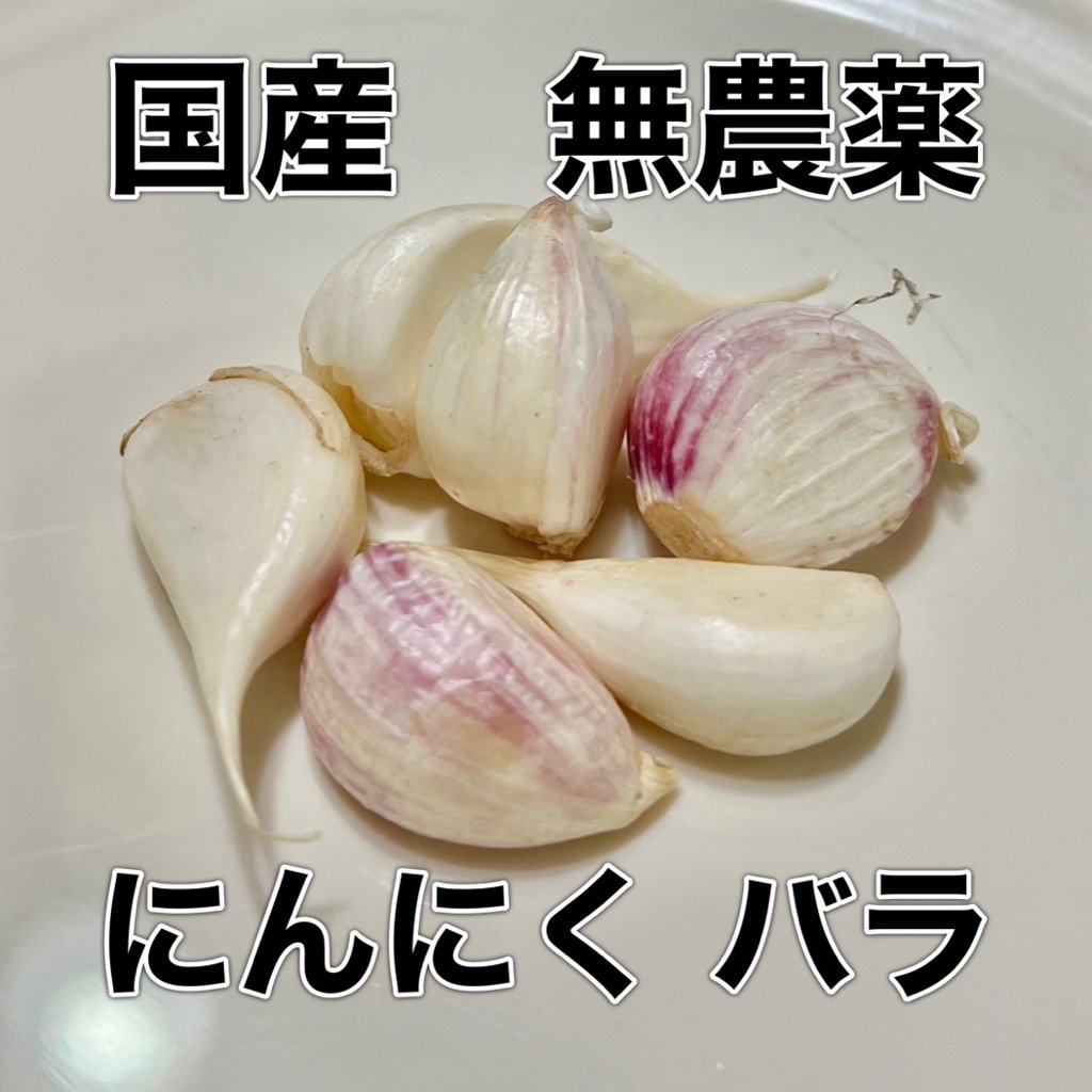 無農薬 国産にんにく バラ 真空パックで臭わない、長持ち！ 送料330円