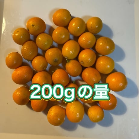 無農薬　金柑　ありがきんかん！　甘味が多く、皮ごとまるかじりOK！お弁当にも！（