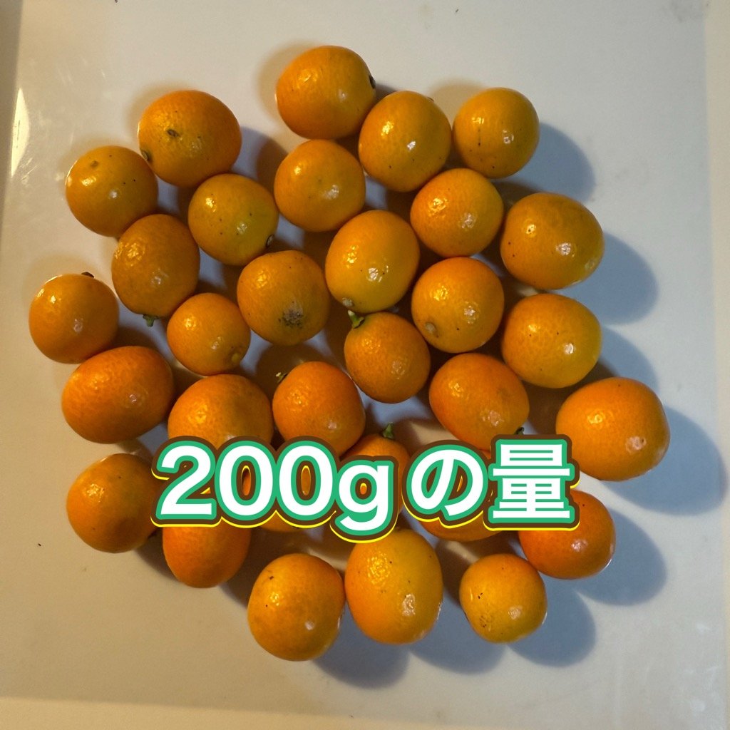 金柑　無農薬　次回出荷までお待ちください！ fit=scale-down,w=1200
