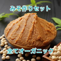 究極の味噌作りセット　オーガニック＆ヘルシー！マグネシウム桁違い！添加物0