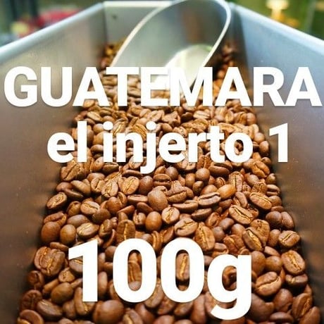 GUATEMARA el injerto1 "グアテマラ エルインヘルト農園" 100g